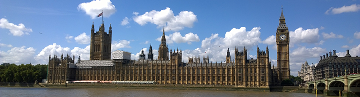 Do MPs Need a DBS Check?