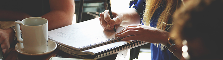 What is Checked in a CRB Check?