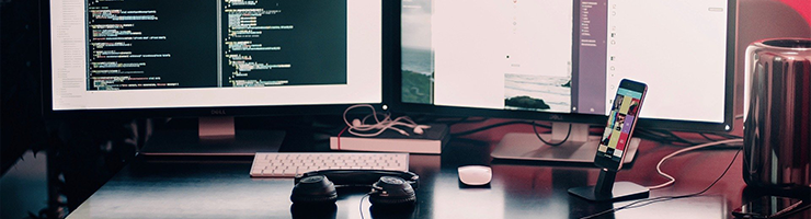 Fake DBS Check Requests