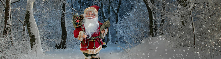 Seasonal Working – Does Santa Need a DBS Check?