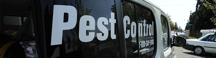 5 Jobs You Didn’t Know You Needed a DBS For