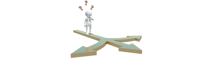 Can I Choose What sort of DBS I Have?