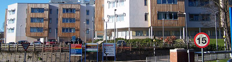 Everything You Need to Know About Bank Nursing