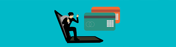 DBS Checks and Fraud