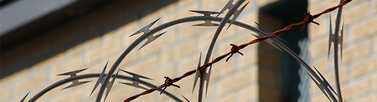 Carers Jailed After Stealing from Patient