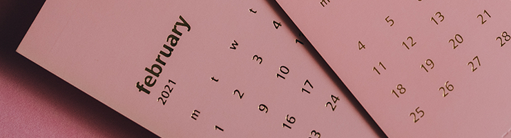 Everything About DBS Renewals