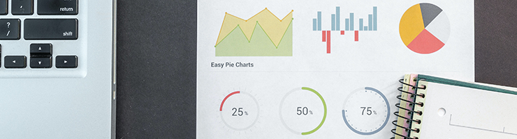 Basic, Standard and Enhanced DBS Checks - What’s the Difference?