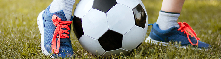 Football Banning Orders and DBS Checks