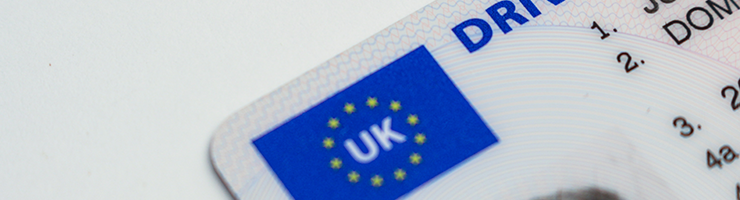 Which Background Checks Can I Expect for My Role?