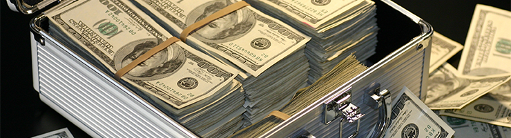 What Are Anti-Money Laundering Checks, and How Do They Work?