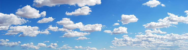 DBS Checks with Secure Cloud Storage: What are the Benefits?
