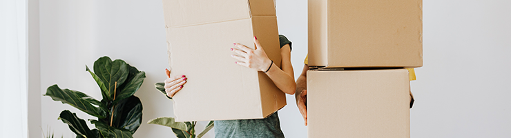 Right to Rent Check Goes Online