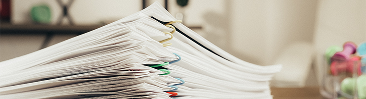 Getting a Copy of Your DBS Record