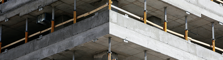 RAAC Surveys and DBS Checks