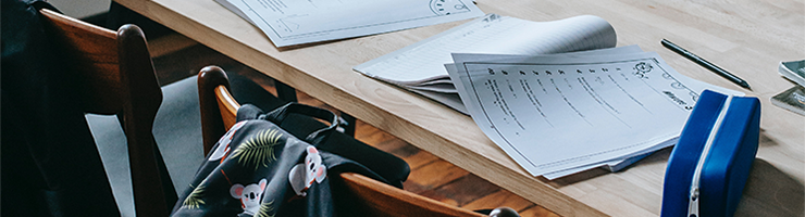 School Governors and DBS Checks