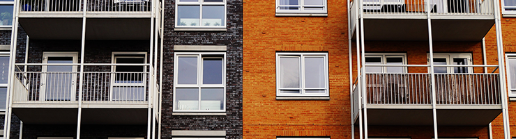 Tenant Background Checks