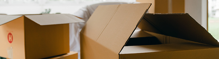 Right to Rent Fines Rise Dramatically