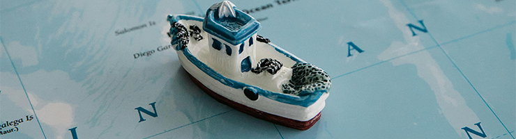 What is a Non-UK Criminality Check?