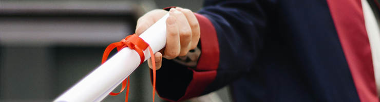 What is an International Child Protection Certificate